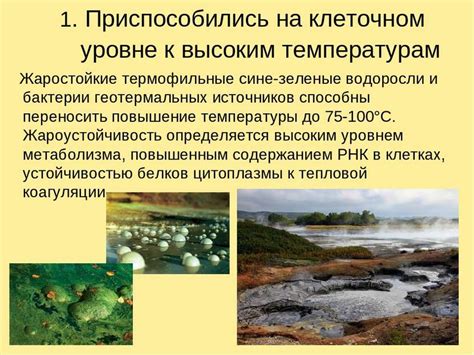 Устойчивость к высоким температурам и химическим веществам