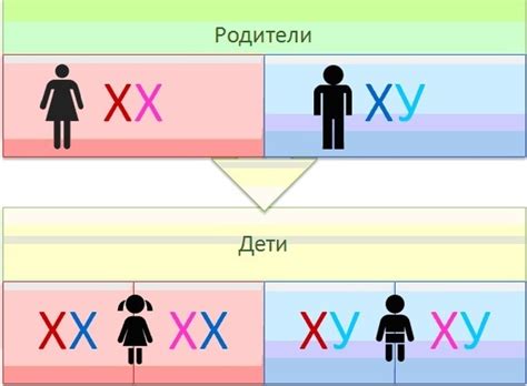 Что такое аллельная нагрузка и как она связана с мутацией гена