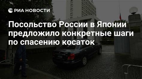 Шаги по спасению ирисов