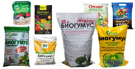 Эффекты и результаты применения биогумуса