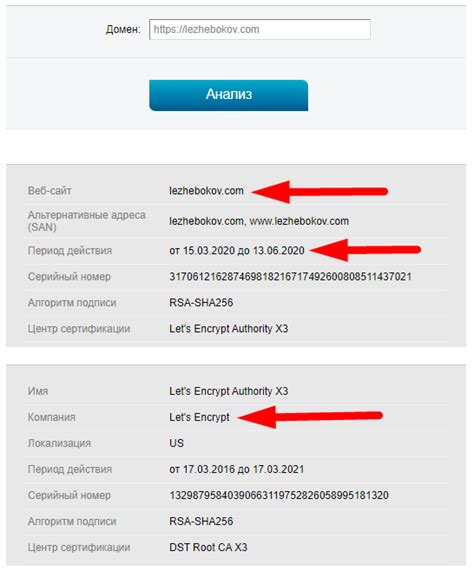  Проверка домена и SSL-сертификата 